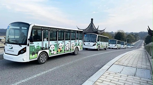 “熊猫天团”来了！玛西尔23座观光车抵达岳阳中华大熊猫苑！