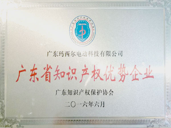 玛西尔-广东省知识产权优势企业