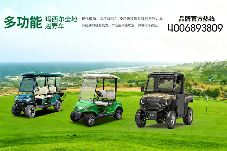 玛西尔多功能电动车