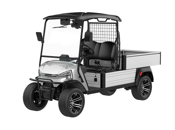 DU-CJ500-2 电动两座货斗车