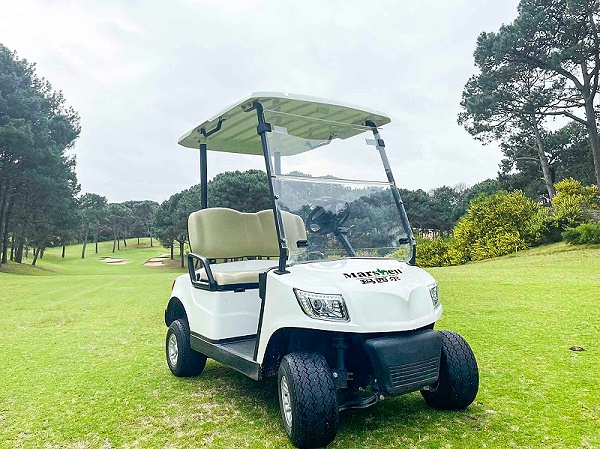 电动高尔夫球车