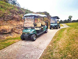 电动高尔夫球车